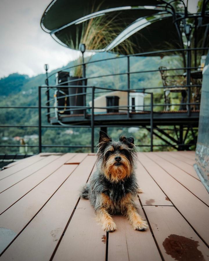 Вилла Chami Glamping Манисалес Экстерьер фото